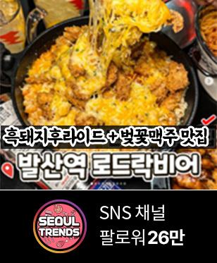 SNS채널 팔로워 26만